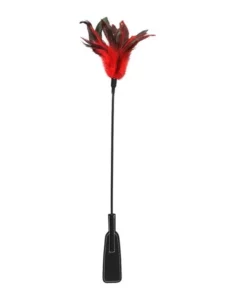 Sportsheets S&M Feather Slapper - dwustronna packa z piorkiem