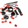 ToyJoy Zestaw Startowy BDSM - Kompletny Pakiet Akcesoriow dla Początkujących